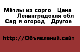 Мётлы из сорго › Цена ­ 400 - Ленинградская обл. Сад и огород » Другое   